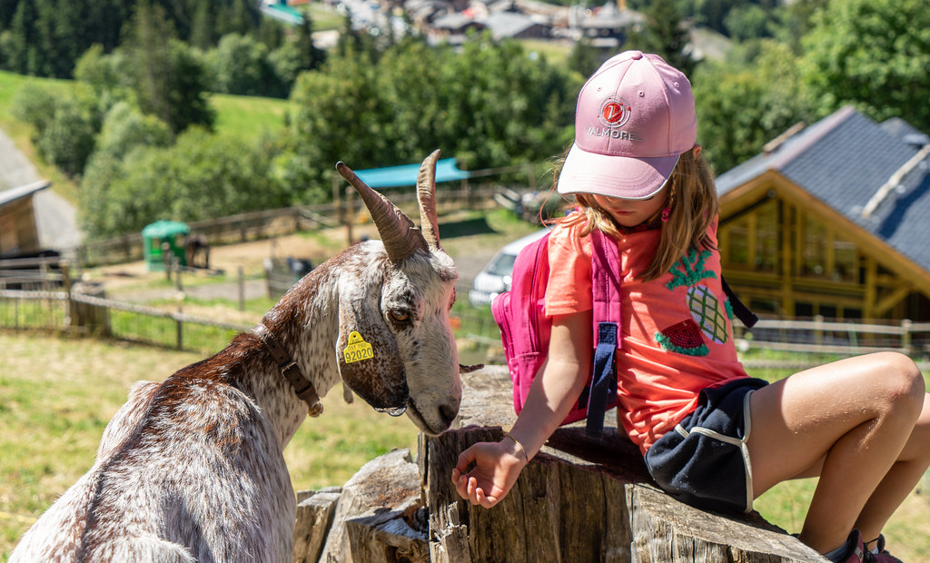 Your ‘made in Valmorel’ good deal